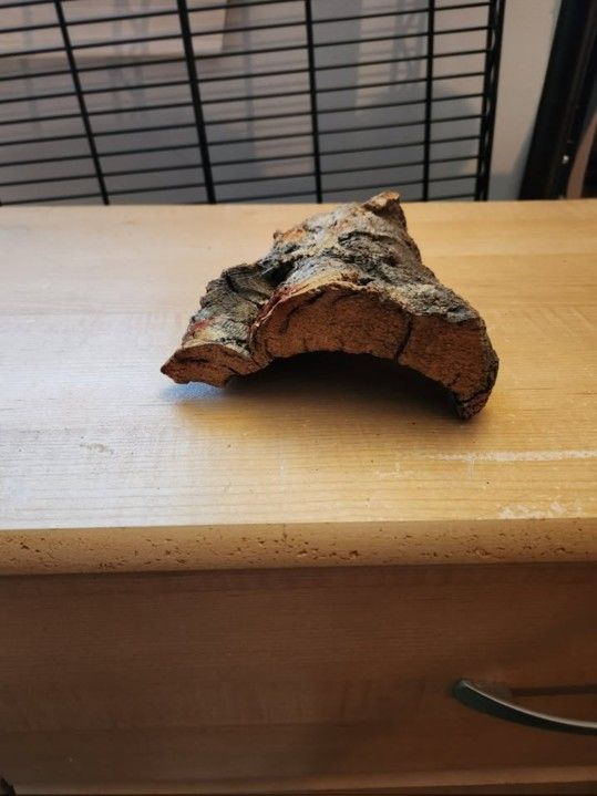 Small Cork Flat