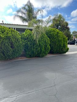 Senior mobile home coach for sale all cash, please