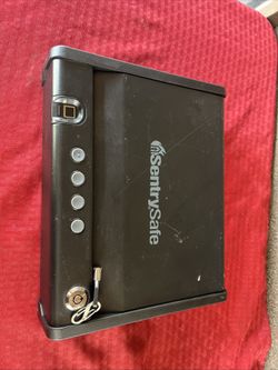 SentrySafe Biometric Gun Safe for Handgun or Pistol, Fingerprint Safe