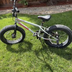 Mongoose Argus bike