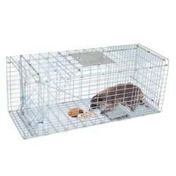 Live animal cage trap/ jaula para roedores