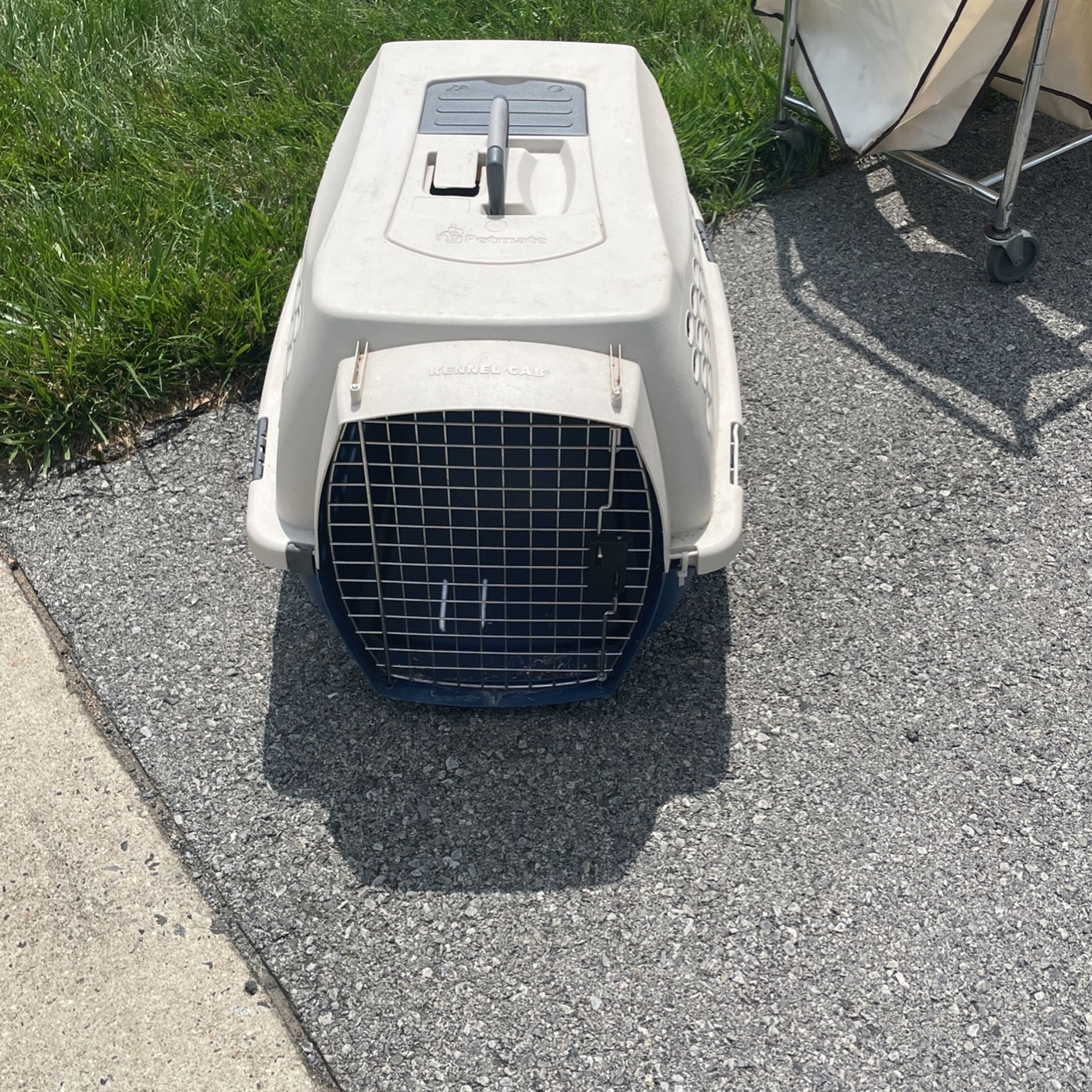 Large Pet Carrier Need Gone ASAP