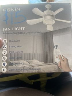 Fan Light