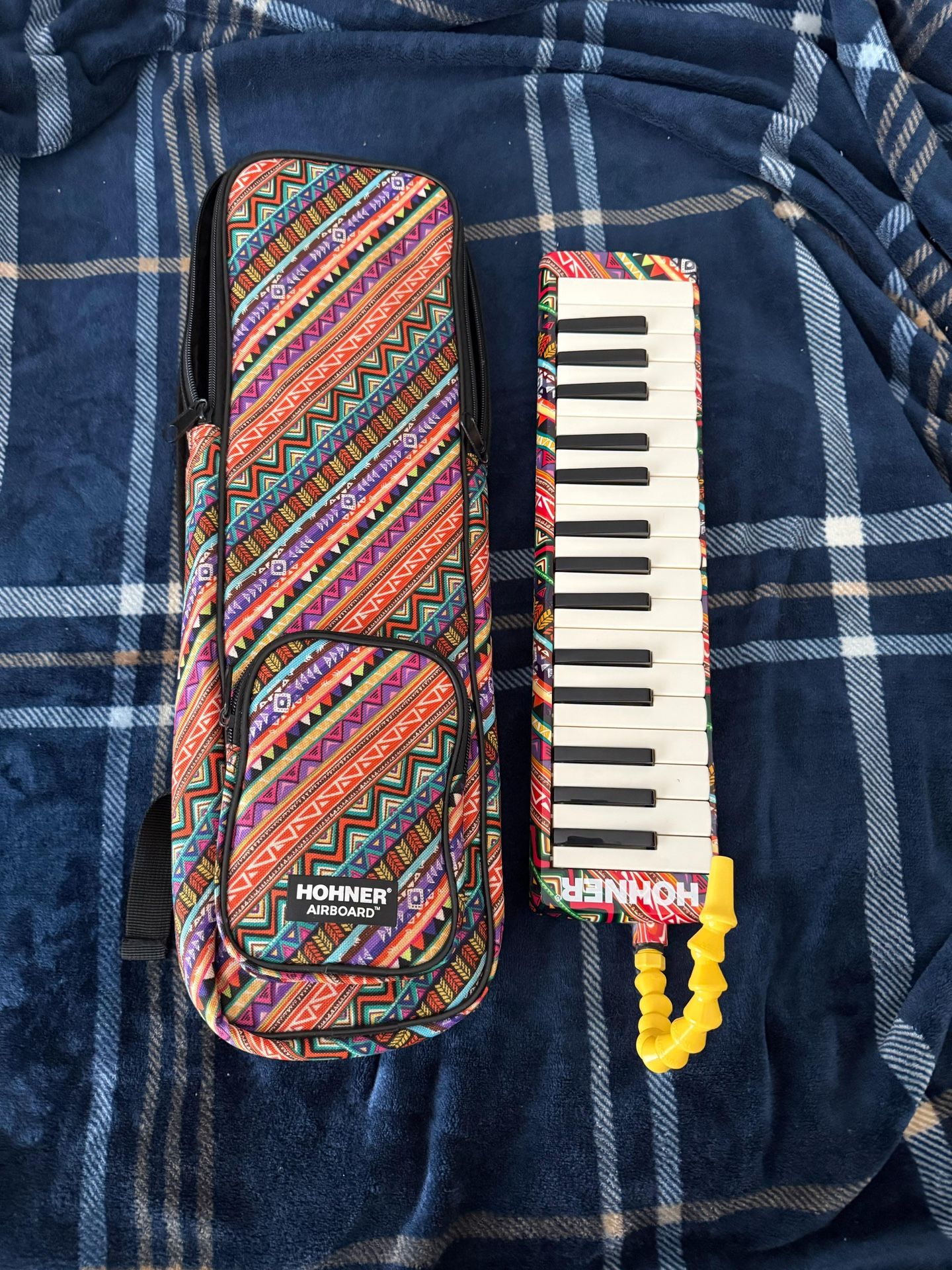 Hohner Airboard 