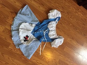 Dorthy wizard of Oz Halloween costume