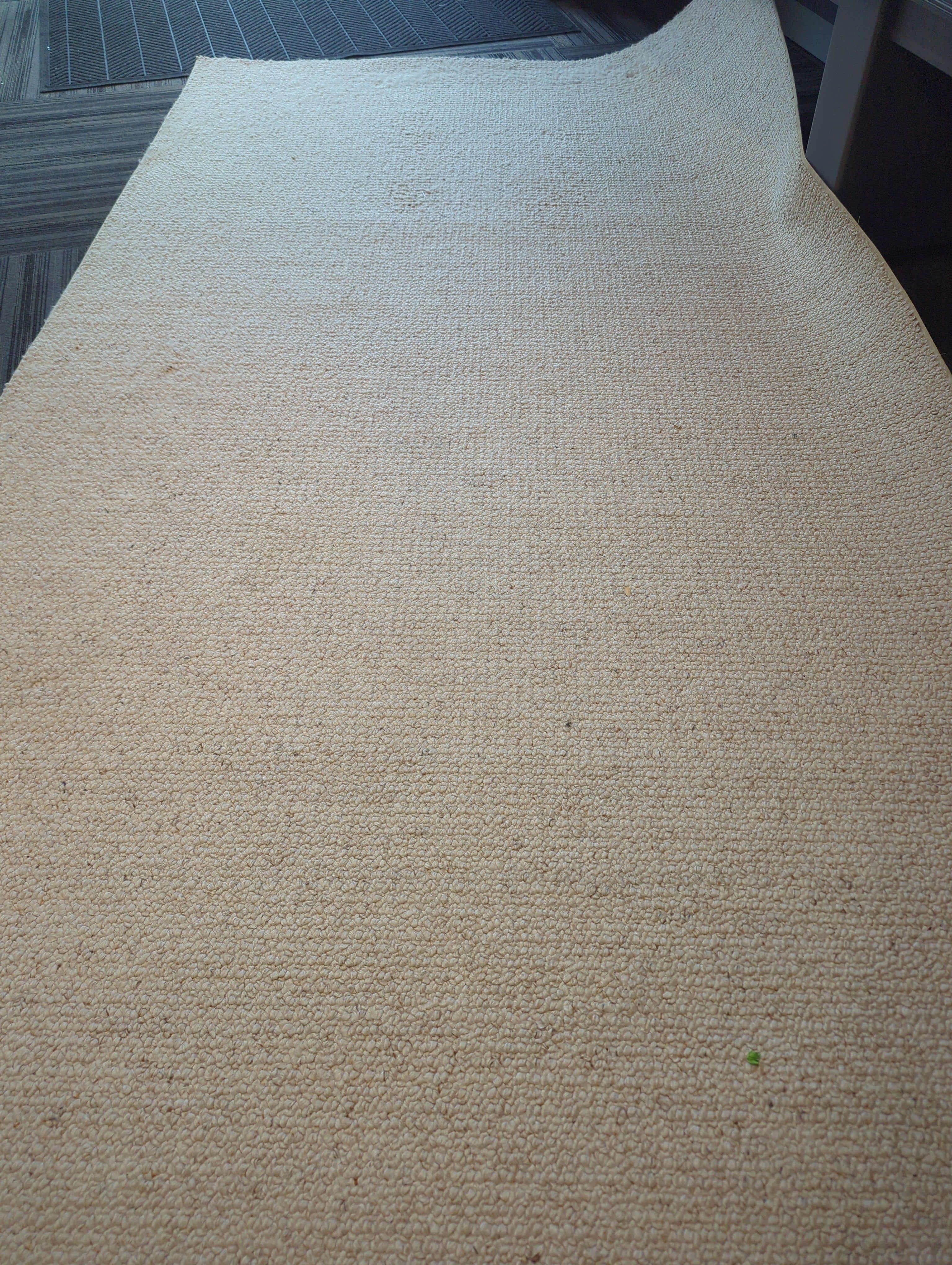 Tan Rug