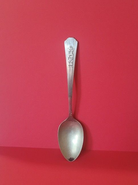 Vintage WM A Rogers A1 Plus Oneida LTD Meadowbrook Condiment Spoon 8 inches