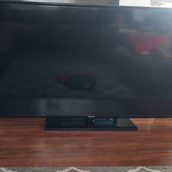 55" Samsung TV – Powers On, No Picture