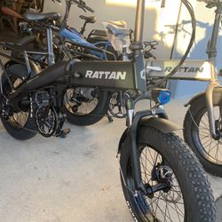 Electric Bike - Rattan XL 750w