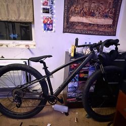 Mtb 29in send a offer