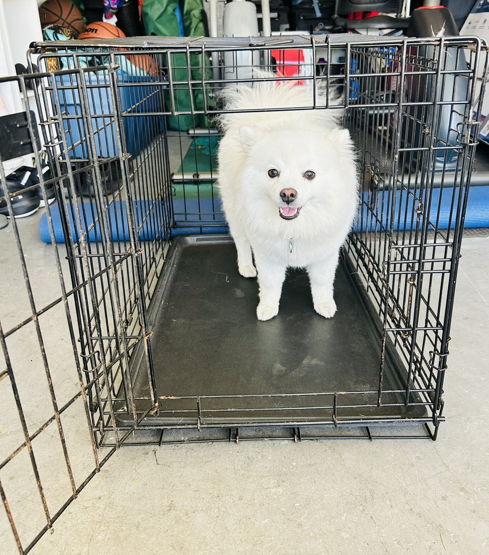 Dog Crate (small/med)