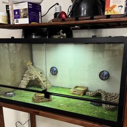 Reptile’s Tank 