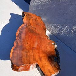 Coffee Table - Redwood Tree