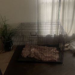 Large Dog Crate