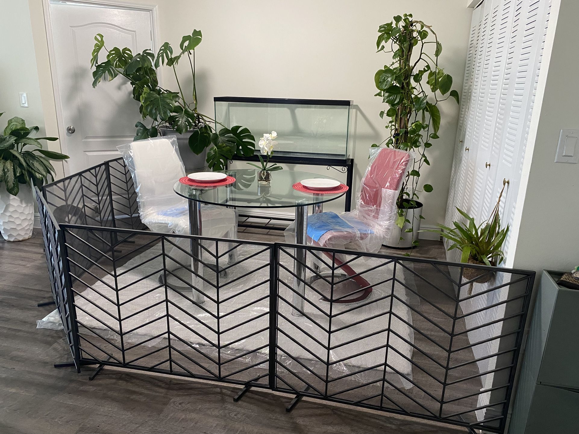 new 55 gallon fish tank