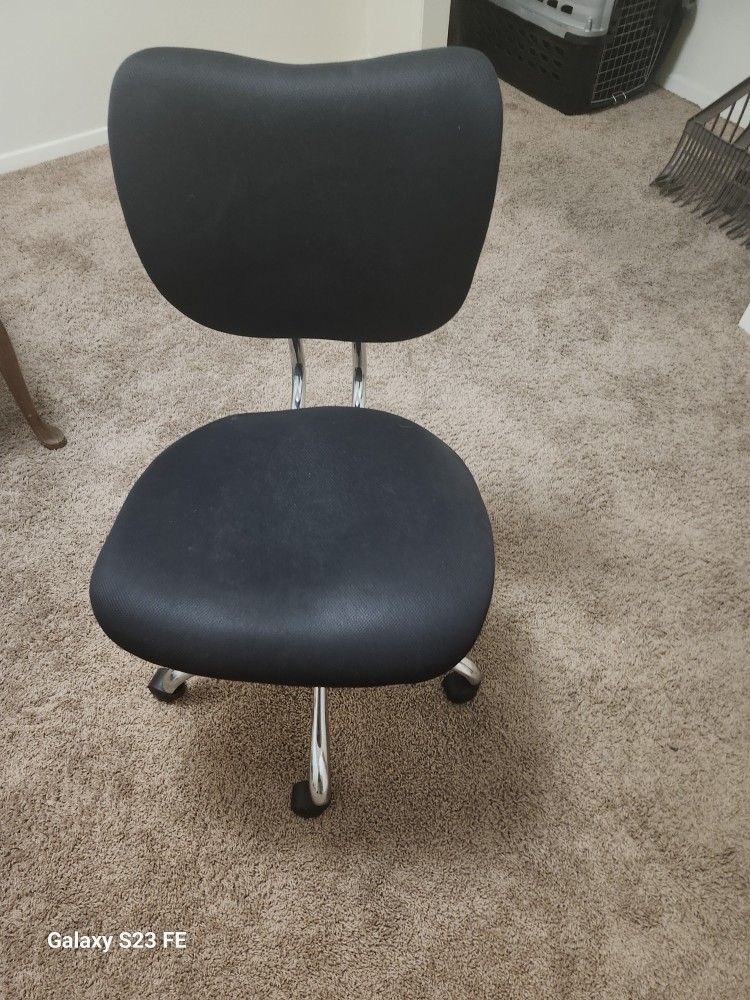 Brand New Office Or Desk Chair.Bought Ne