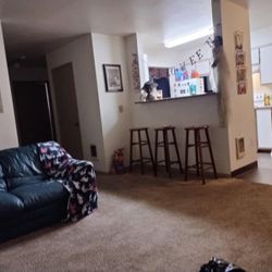 Free Couch 