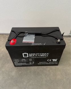 Mighty Max Battery 12 Volt 100 AH, Internal Thread Terminal, SLA AGM Rechargeable Sealed lead acid 121000 Backup power Batteries $169 plus tax at Lowe