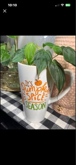 🍃🎃 Velvet Philodendron Micans Rooted easy fast growing Prop Plant in Fall Mug w removable jar w gold leaf charm 🍃🎃  Starter plant, Easy Care, very
