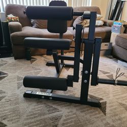 Titan Fitness Seated Leg Extension/ Leg Curl Machine
