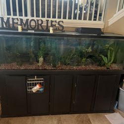 150 Gallon Fish Tank 