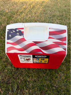 Igloo playmate 16qt cooler