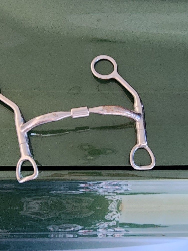 Snaffle Bit