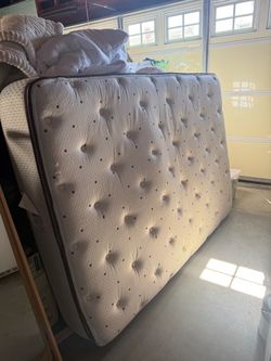 Full Sized Matress