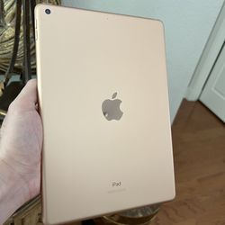Apple iPad 7th Gen 32GB WiFi Like New! 
