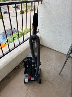 Dirt Devil Endura Max