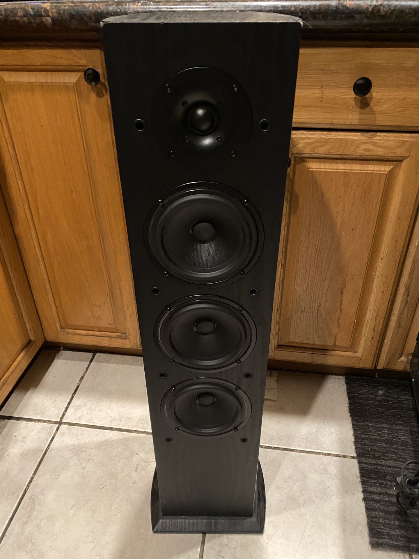 Pioneer Tower Speaker (one Only)