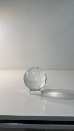 Bull Champions Ball