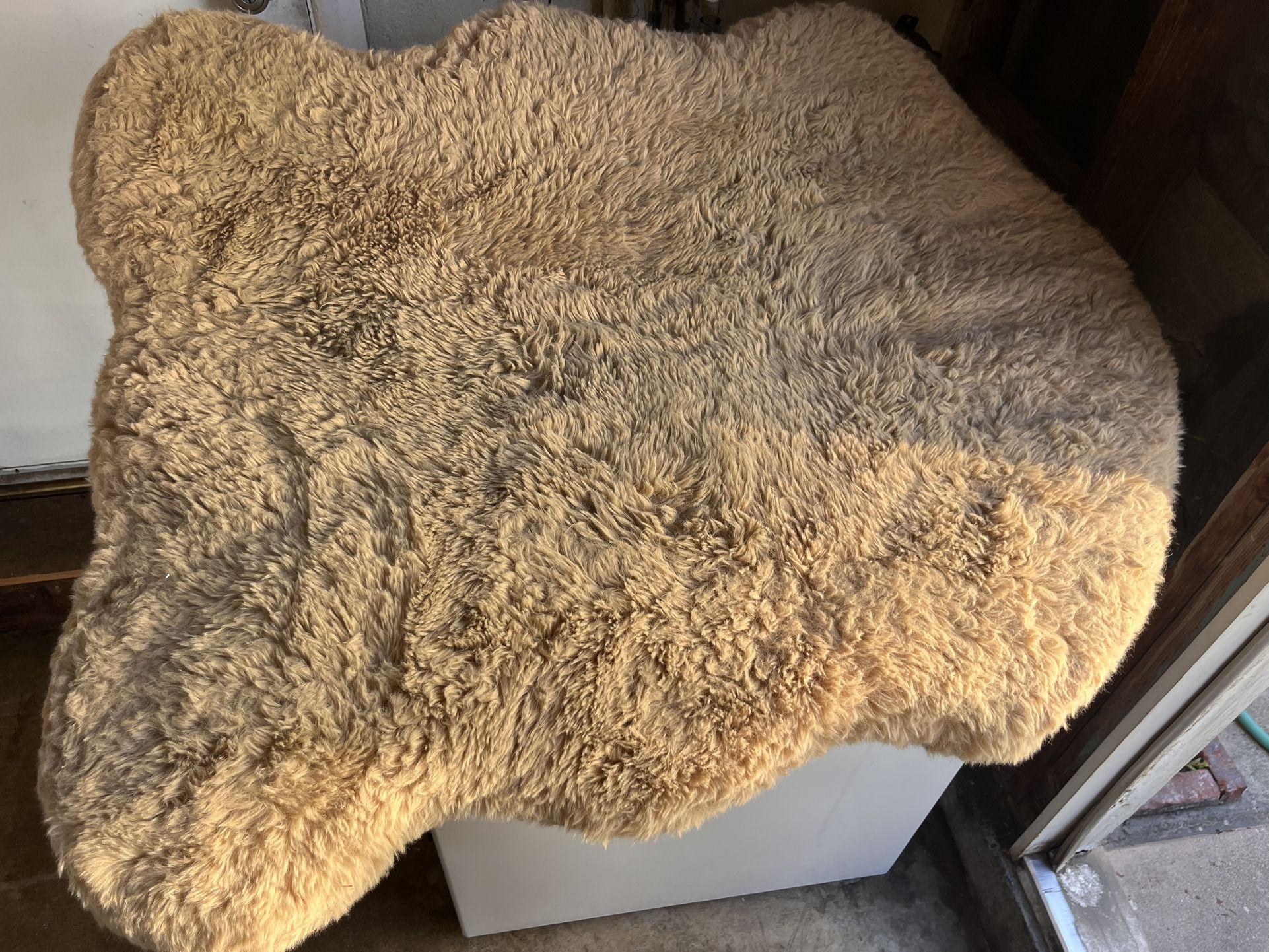 Dog Bed Clean