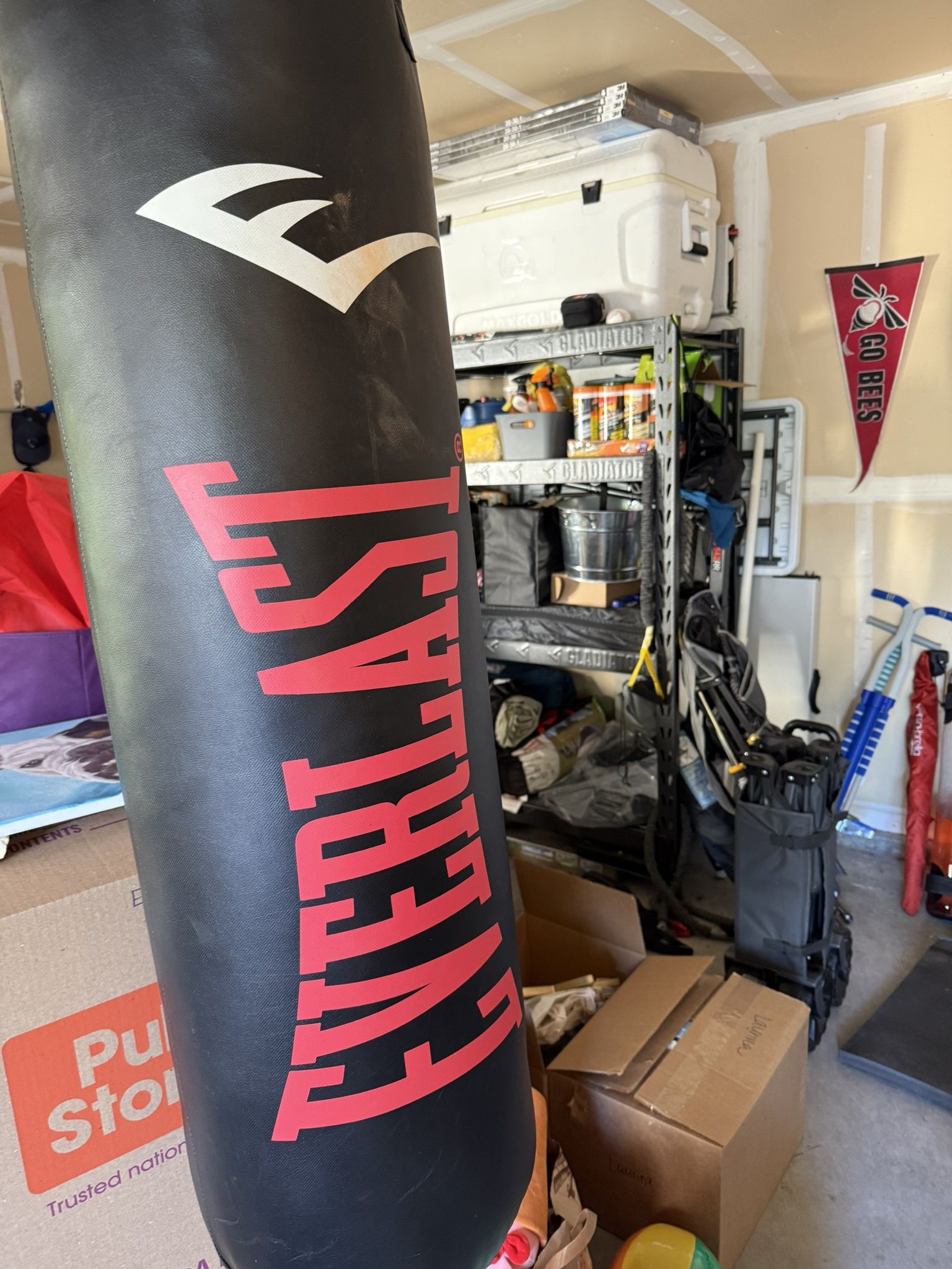 Everlast Punching Bag