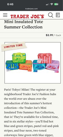 Trader Joe’s mini insulated bag