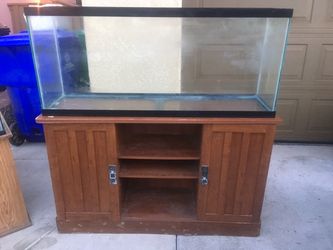 Fish Tank Aquarium 