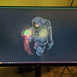 LG Ultra Gear Gaming Monitor