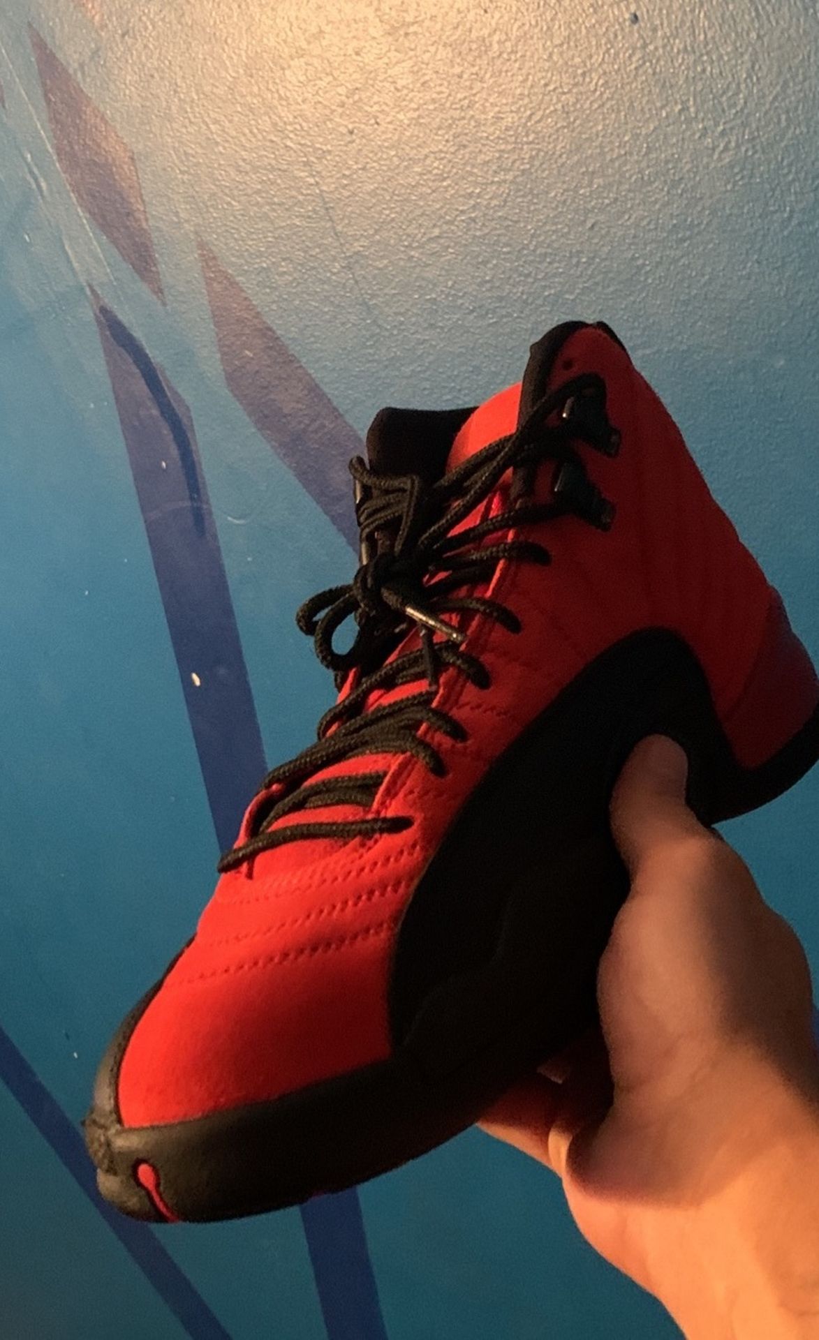 Jordan 12