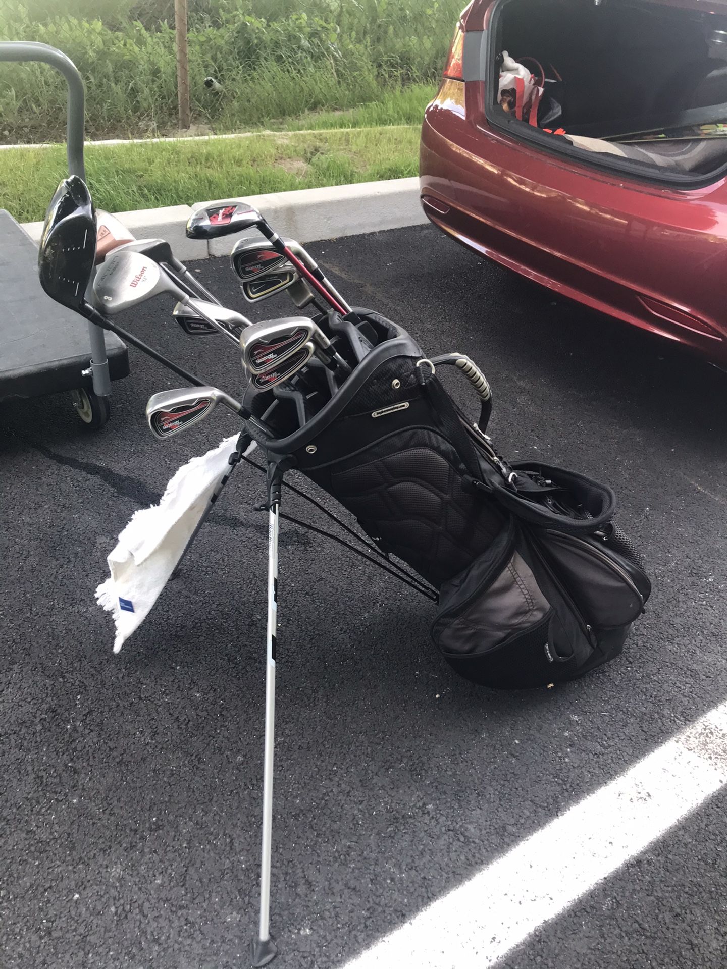 Set of golf clubs with caddy