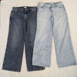 Women's Pacsun Casey Low Rise Baggy Jeans Size 25/26