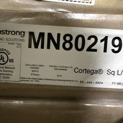 Armstrong Cortega 24" x 48" ceiling tiles