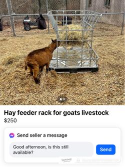Animal feeder