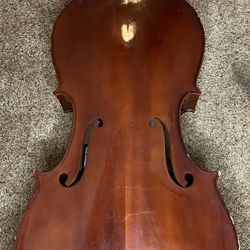 Cello With Missing Neck-Arts or Crafts Project?