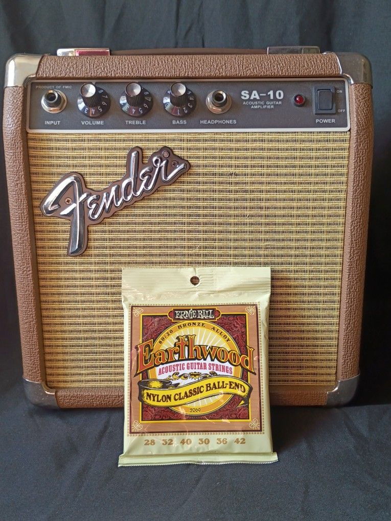 Fenderâ„¢ SA-10 Amplifier + free Ernie Ball Earthwood Acoustic Ball-End Strings