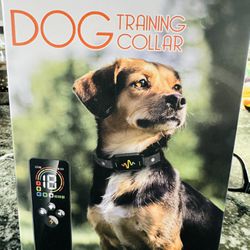 New Dog Training Collar
