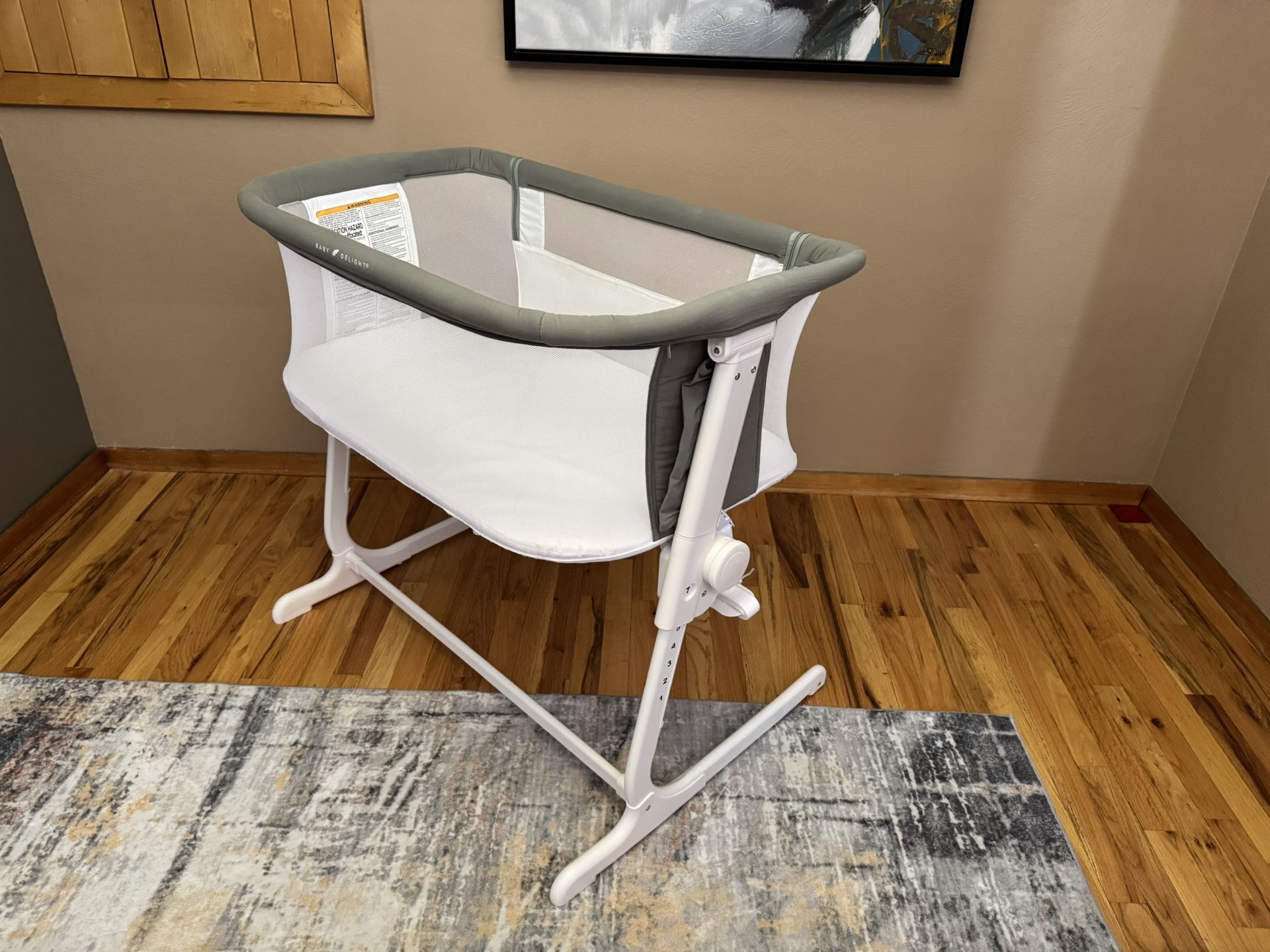 Baby Delight Bedside Bassinet and more!