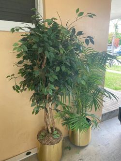 Plantas Artificiales De Decoración!