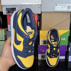 Nike Dunk Michigan 