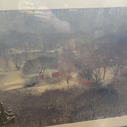 Picture Wall Art Painting Of Central Park During Winter Time 
