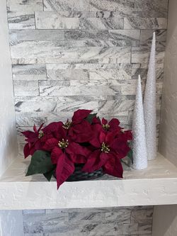 Noche Buena  tengo dos Idénticas   $8 Cada Una